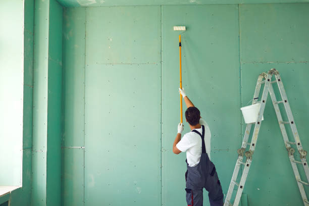 Best Ceiling Drywall Installation  in Pensacola Station, FL