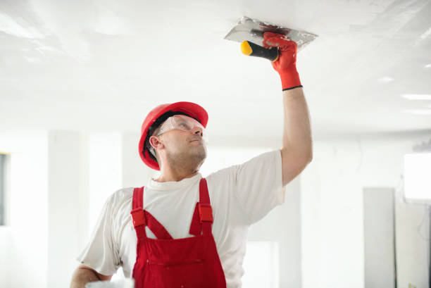 Best Eco-Friendly and Low-VOC Painting  in Pensacola Station, FL